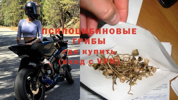 дживик Елизово
