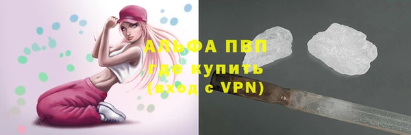 винт Елабуга