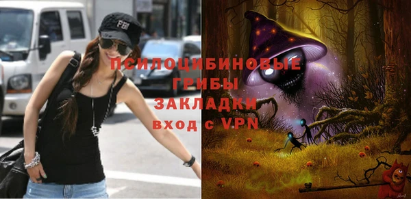 гидропоника Ельня