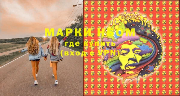гидропоника Ельня