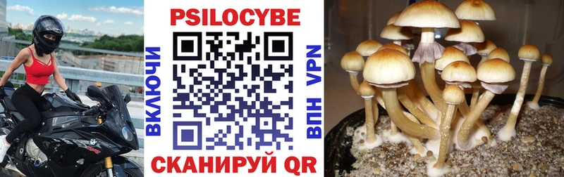 цены наркотик  Крым  Галлюциногенные грибы Magic Shrooms 